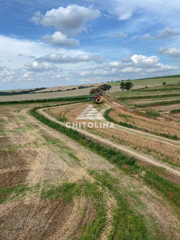 Sítio à venda no SÃO ROQUE: 