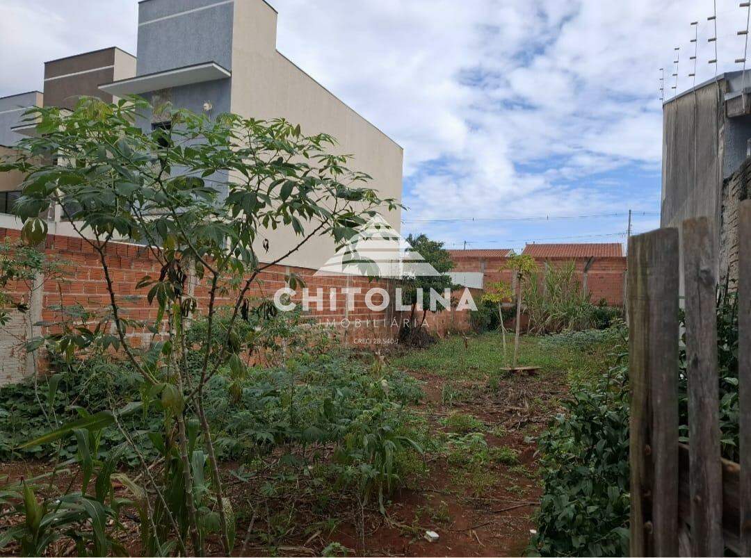 Terreno à venda no Cambuí: 