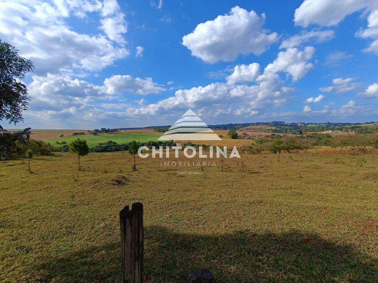 Terreno à venda no Belo Horizonte: 