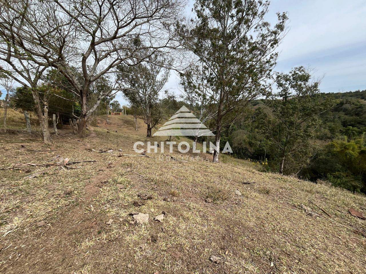 Chácara à venda no Ribeirãozinho: 