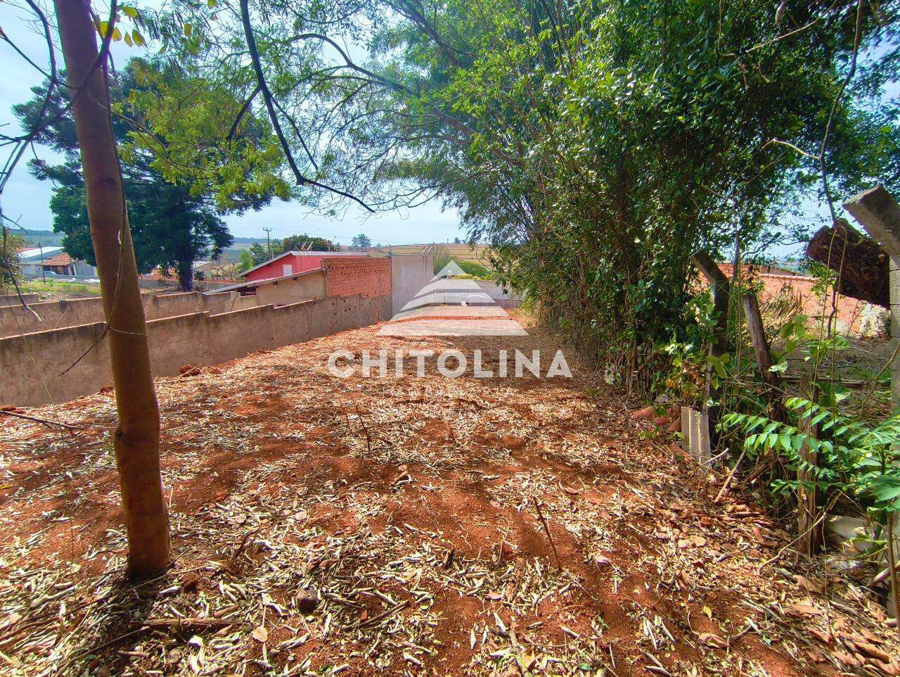 Terreno à venda no Vila Mazzei: 
