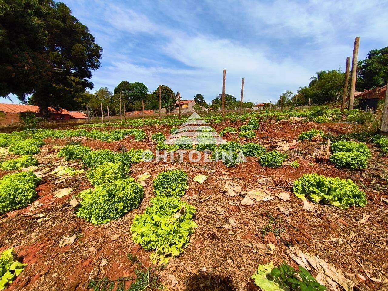 Terreno à venda no Vila Mazzei: 