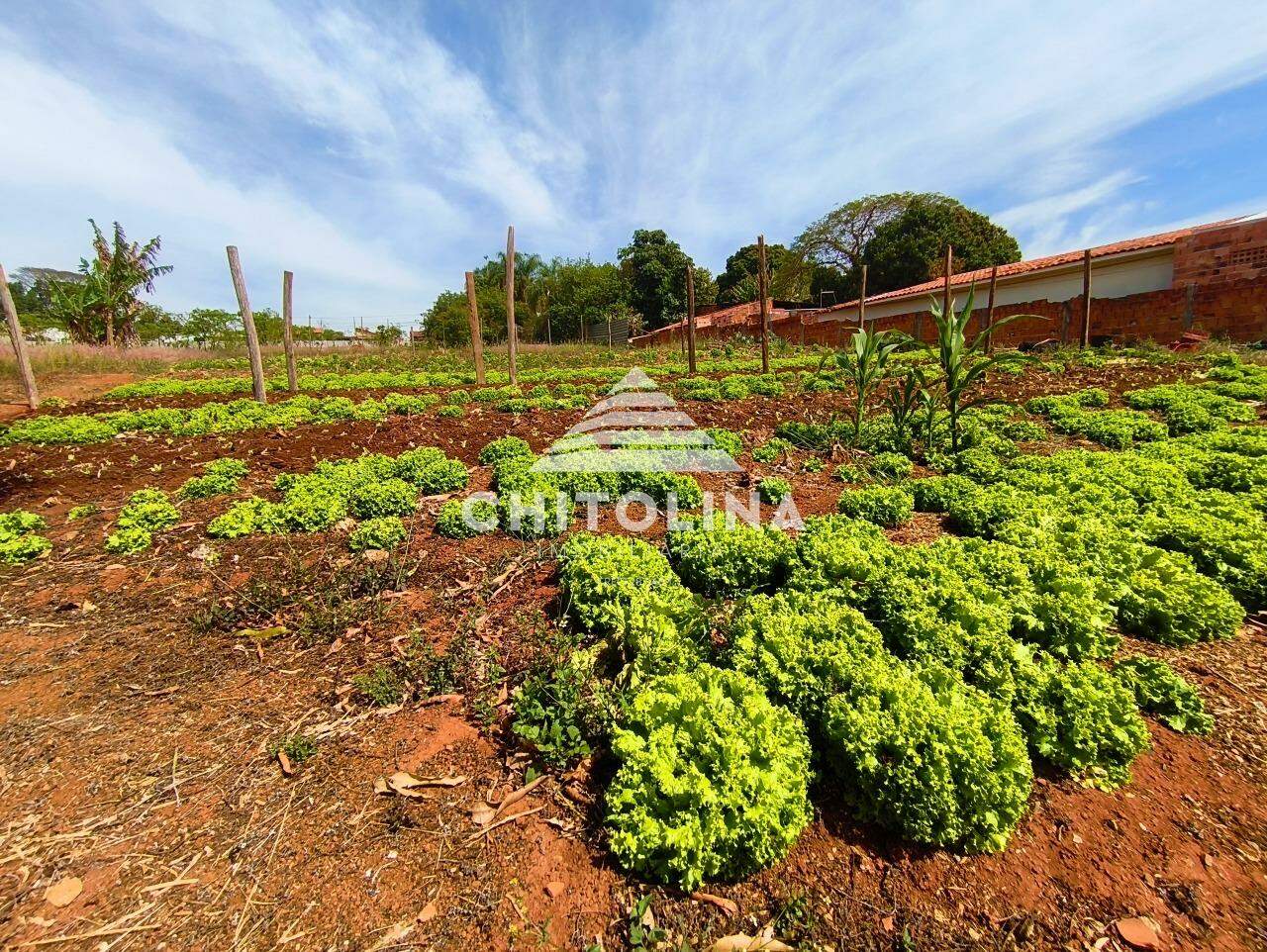 Terreno à venda no Vila Mazzei: 