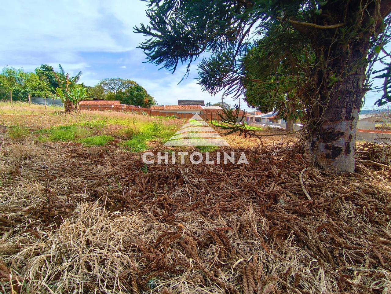 Terreno à venda no Vila Mazzei: 