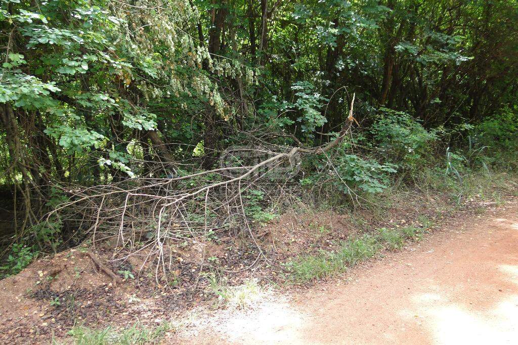 Terreno à venda com 1 quarto, 310000m² - Foto 14