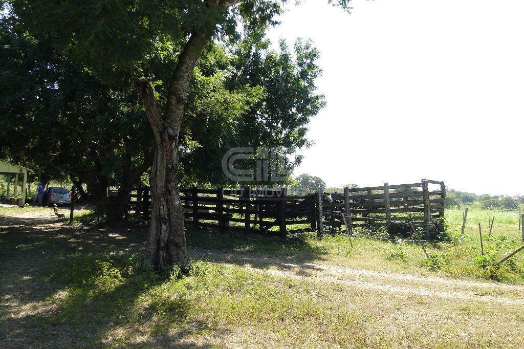 Fazenda à venda com 5 quartos, 400000m² - Foto 20