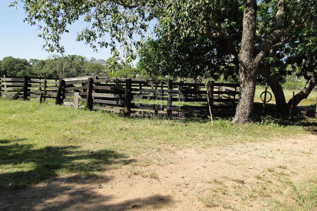 Fazenda à venda com 5 quartos, 400000m² - Foto 21