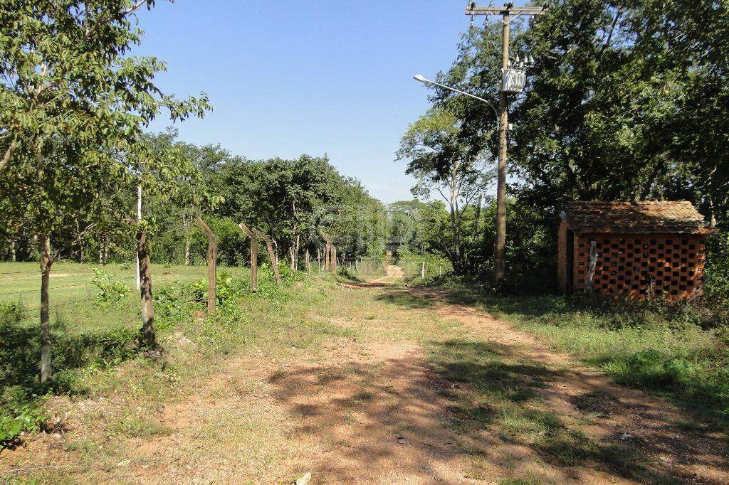 Fazenda à venda com 5 quartos, 400000m² - Foto 22