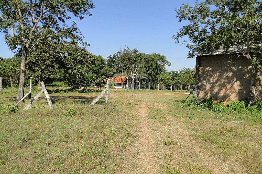 Fazenda à venda com 5 quartos, 400000m² - Foto 23