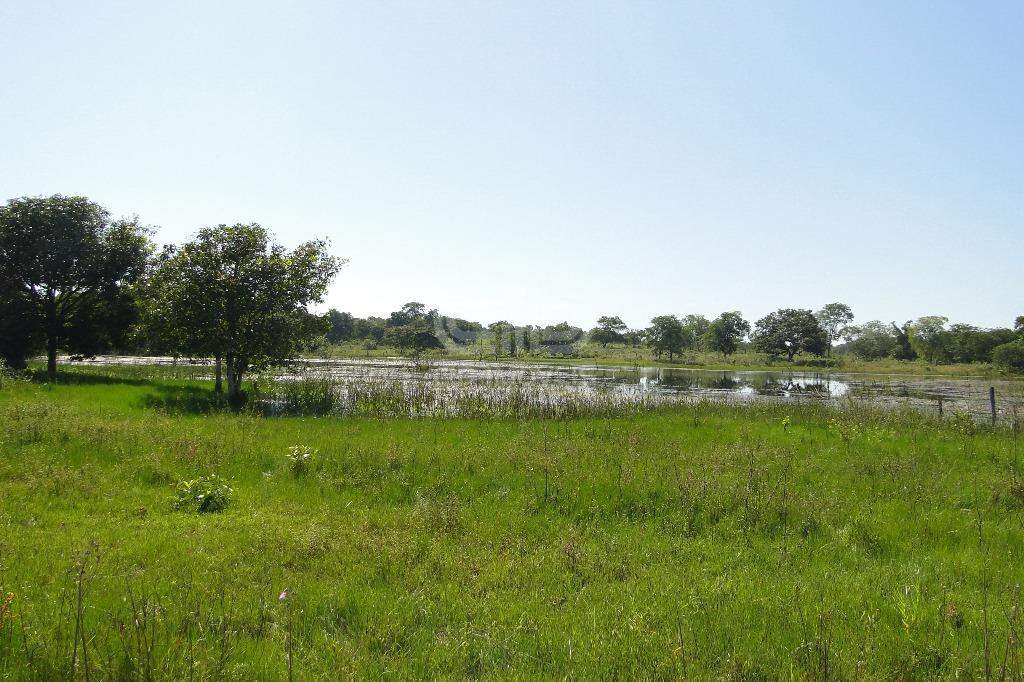 Fazenda à venda com 5 quartos, 400000m² - Foto 28