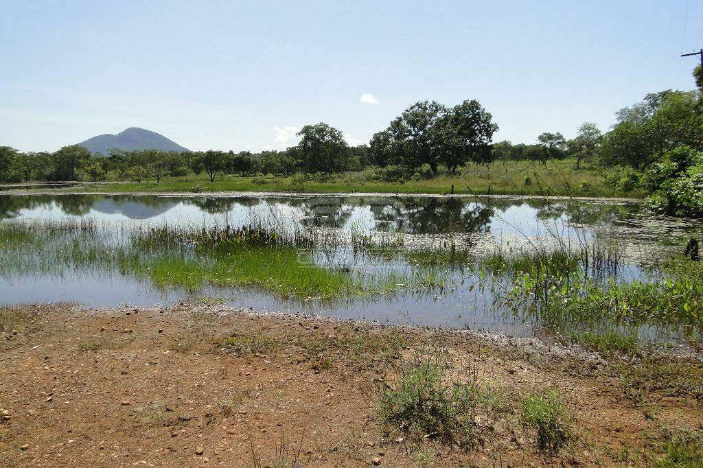 Fazenda à venda com 5 quartos, 400000m² - Foto 30