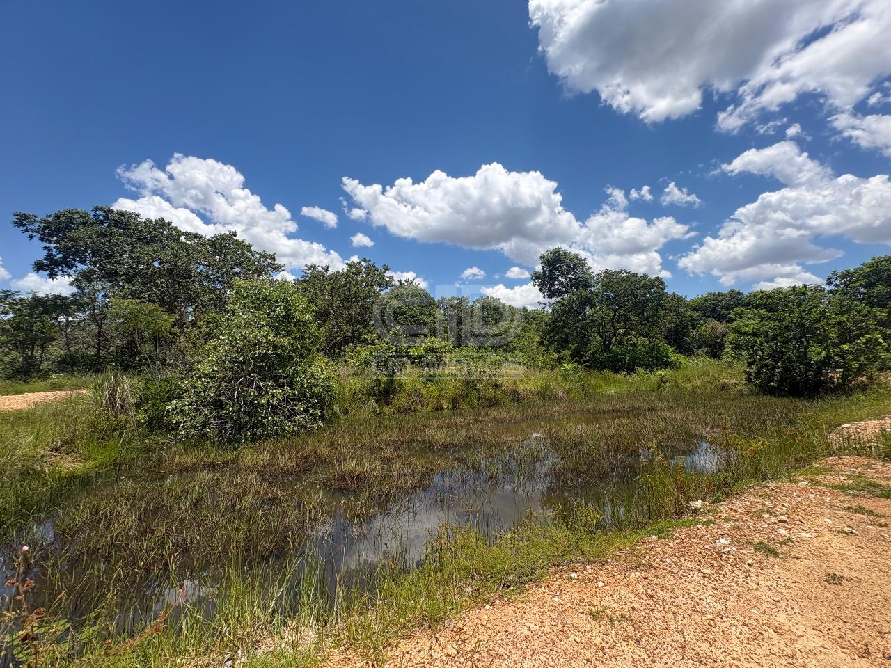 Chácara, 2 hectares - Foto 11