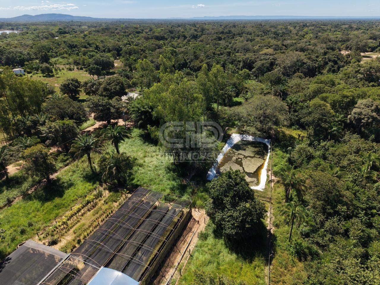 Sítio, 3 quartos, 2 hectares - Foto 6