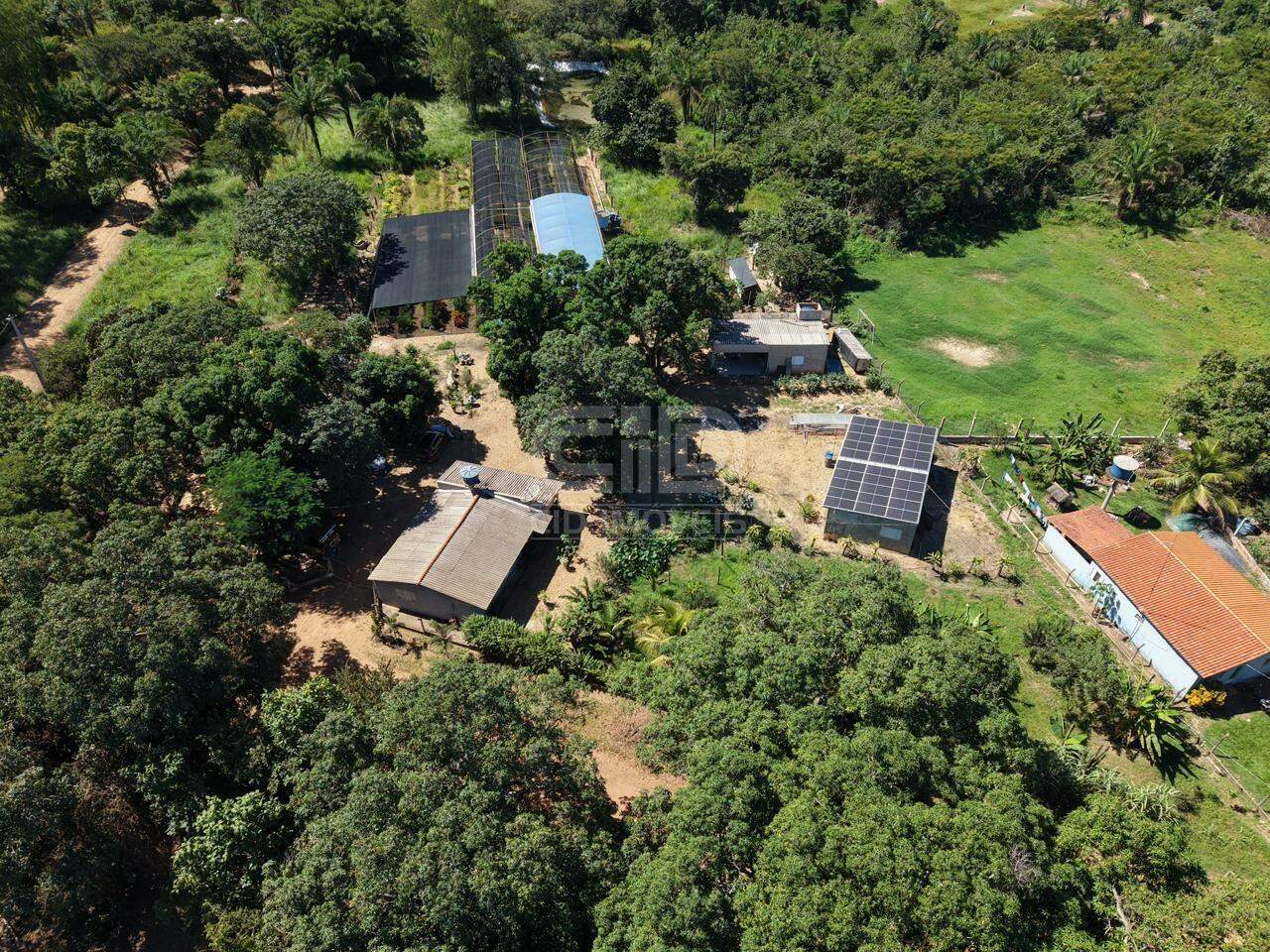 Sítio, 3 quartos, 2 hectares - Foto 4