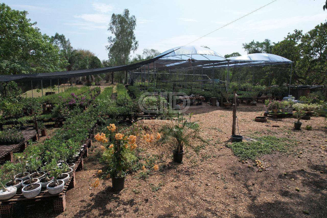 Sítio, 3 quartos, 2 hectares - Foto 12