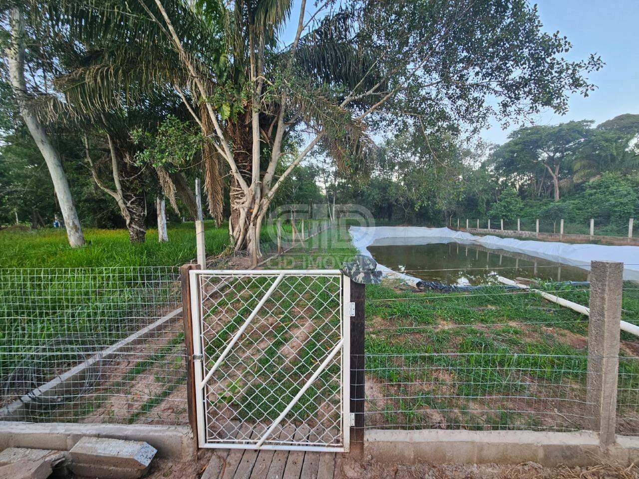 Sítio, 3 quartos, 2 hectares - Foto 13