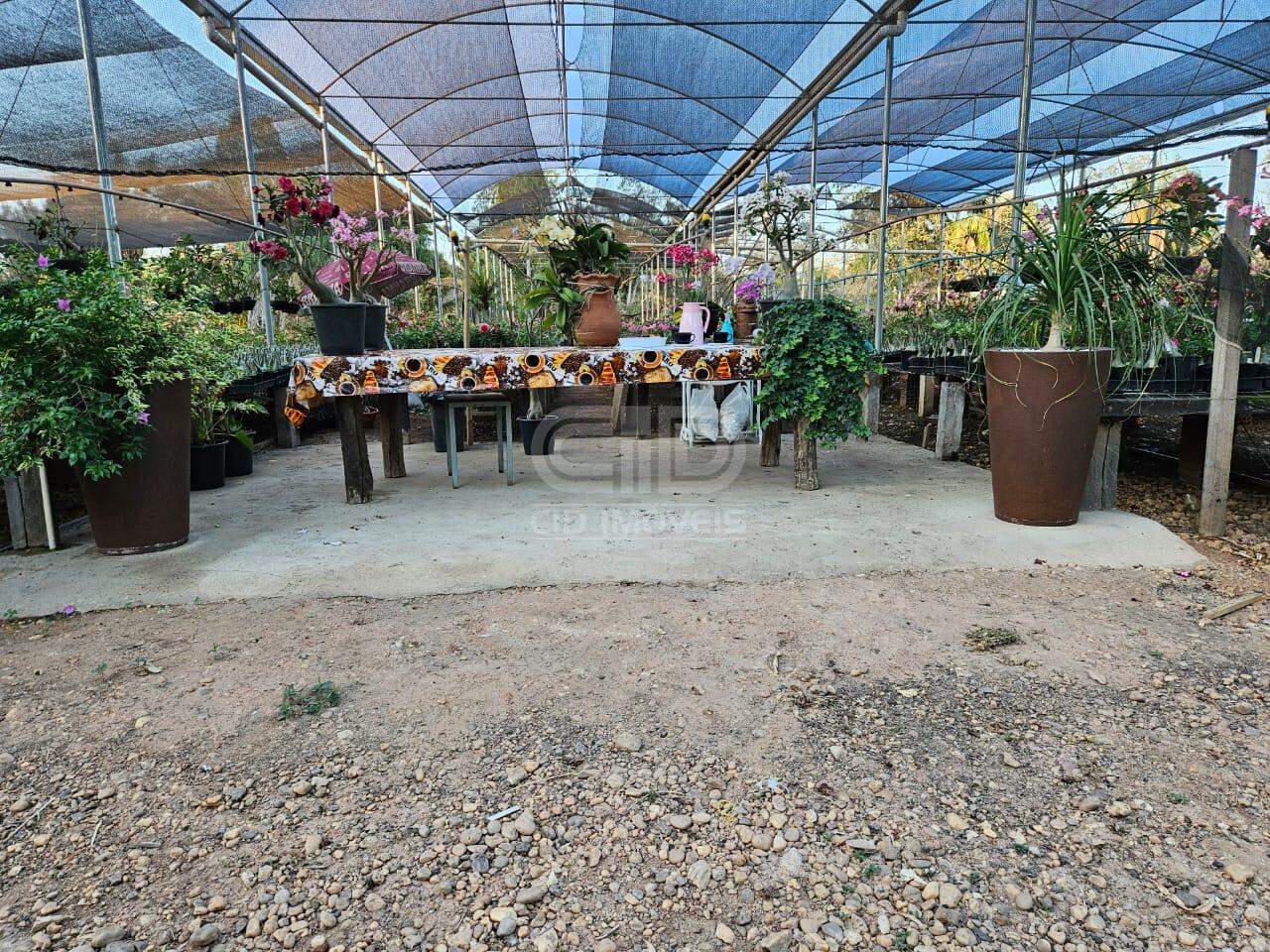 Sítio, 3 quartos, 2 hectares - Foto 15
