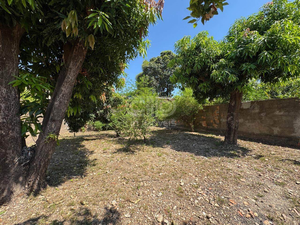 Casa para aluguel no Dom Aquino: 