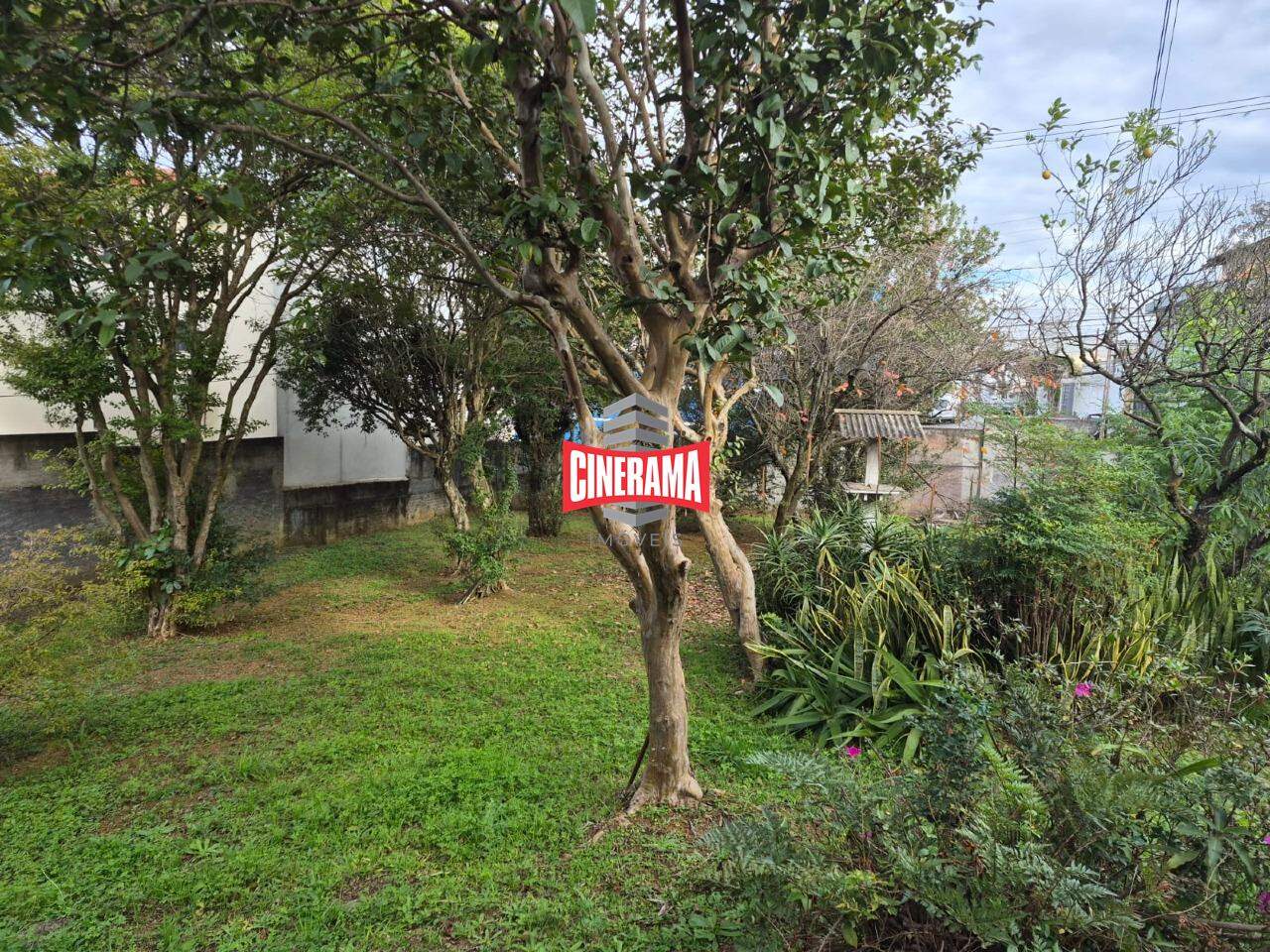 Terreno à venda no Osvaldo Cruz: 