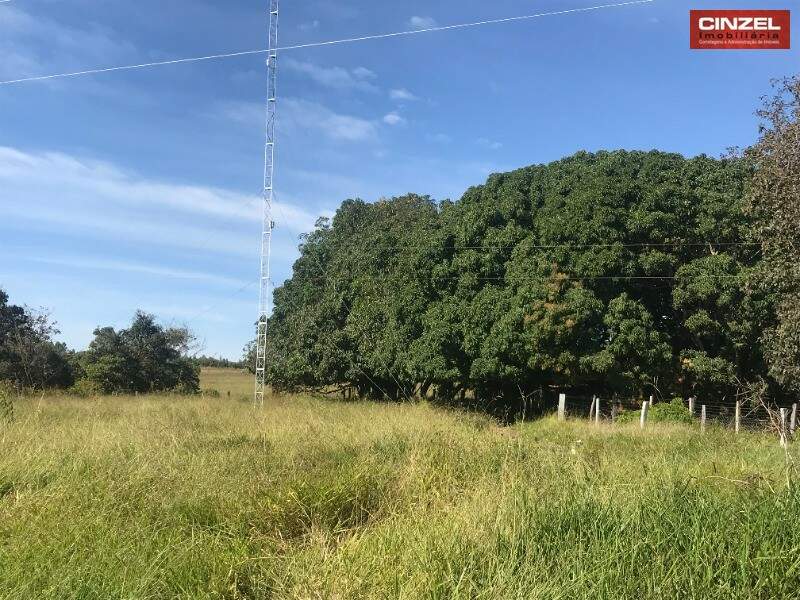 Chácara à venda no CENTRO: Foto 05