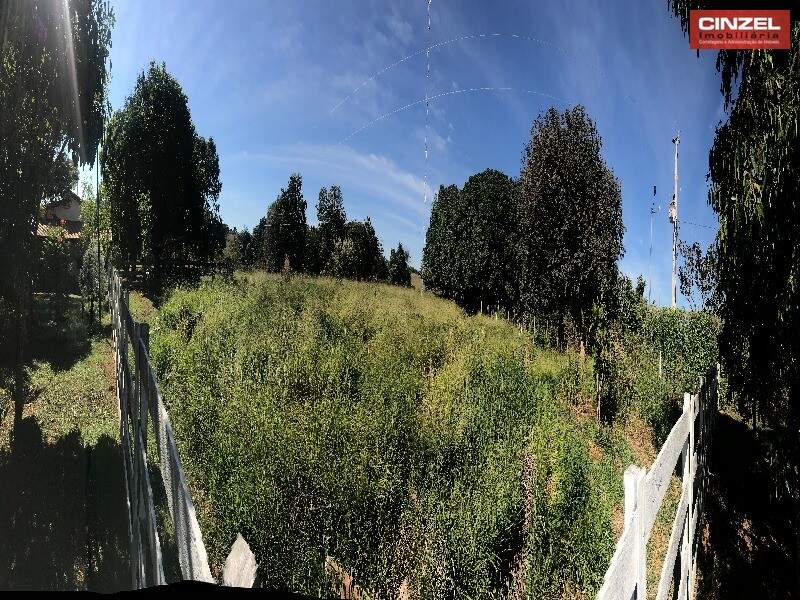 Chácara à venda no CENTRO: Foto 07