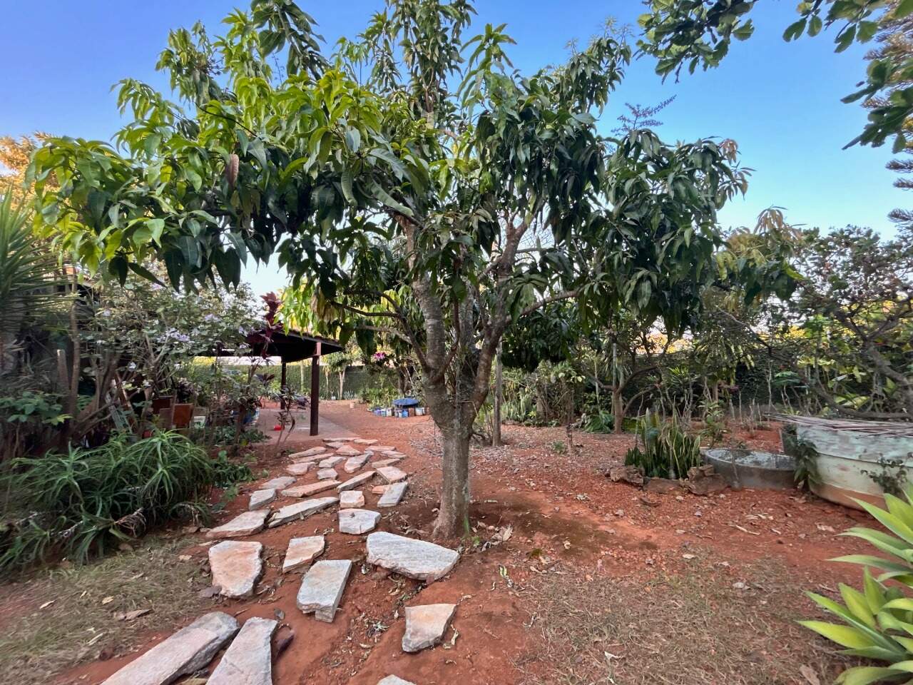 Casa à venda no Setor Habitacional Arniqueira (Águas Claras): Foto 03