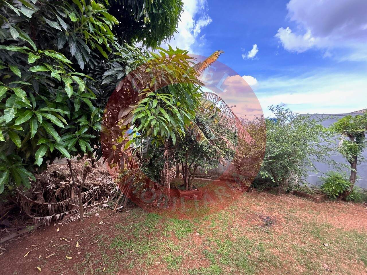 Casa à venda no SETOR HABITACIONAL SAMAMBAIA (VICENTE PIRES): Foto 01