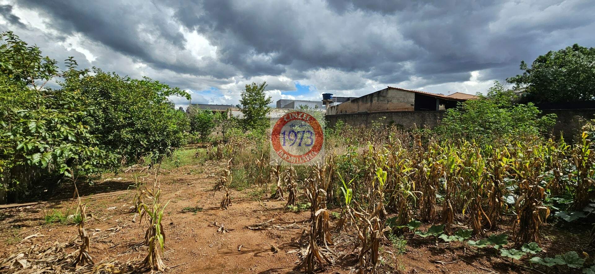 Terreno para aluguel no SETOR HABITACIONAL VICENTE PIRES - CHÁCARA 57 LOTE 24 AV. MI: Foto 02