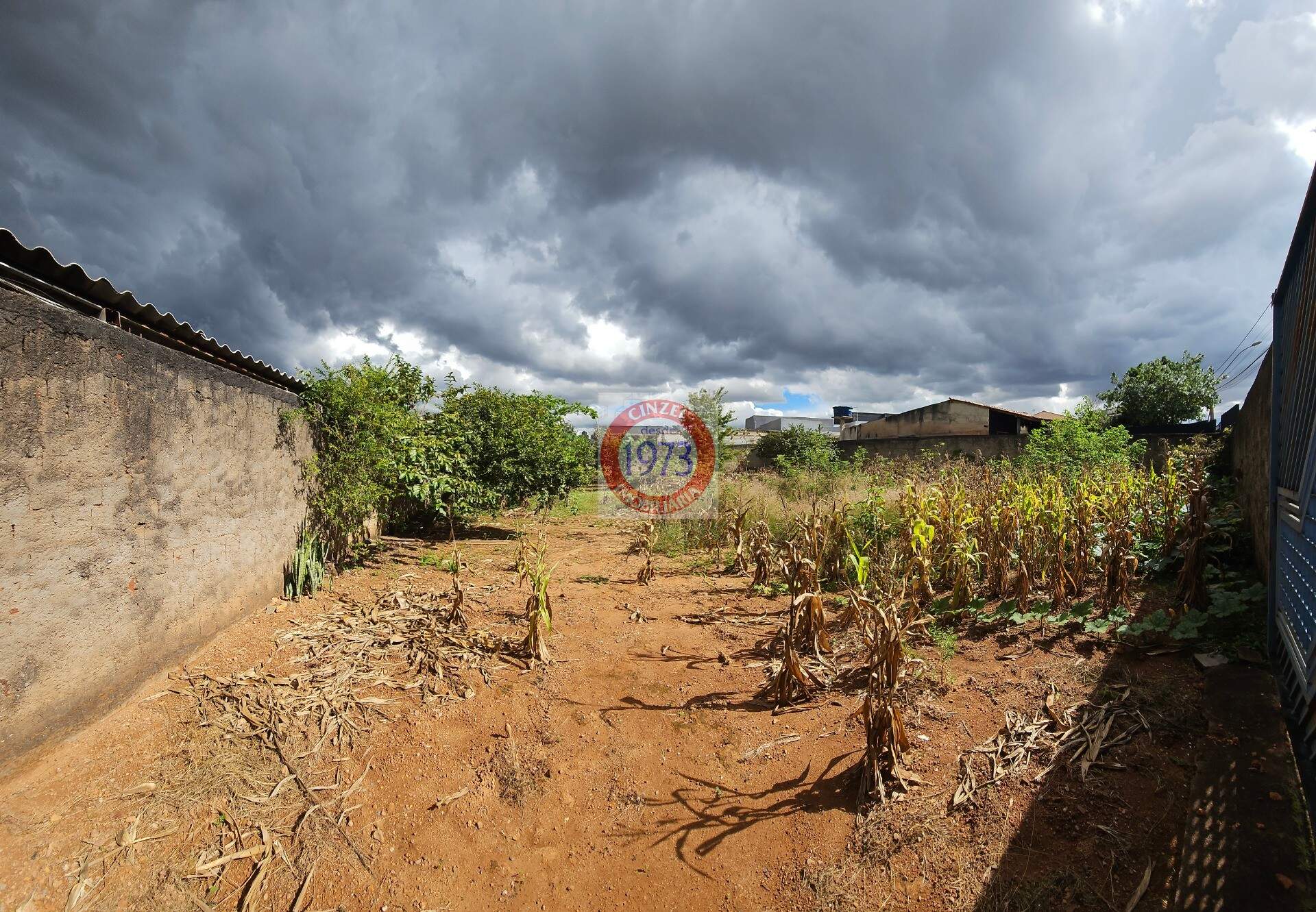 Terreno para aluguel no SETOR HABITACIONAL VICENTE PIRES - CHÁCARA 57 LOTE 24 AV. MI: Foto 03