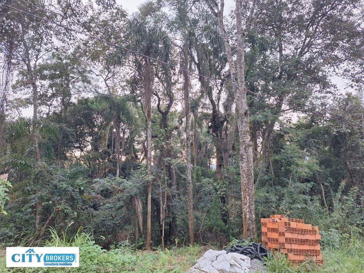TERRENO de a à venda 293.000,00 no bairro Sausalito Mairiporã: 