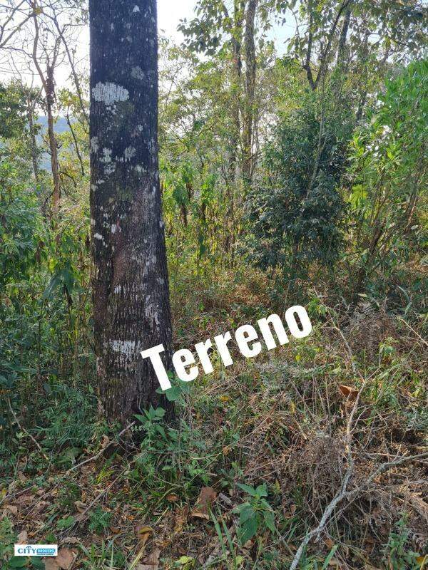 TERRENO de a à venda 220.000,00 no bairro Mata Fria Mairiporã: 