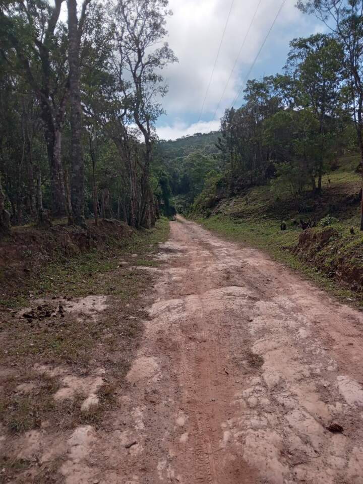 Chácara à venda com 2 quartos, 12000m² - Foto 11