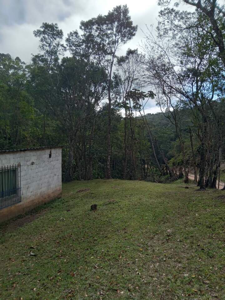 Chácara à venda com 2 quartos, 12000m² - Foto 14