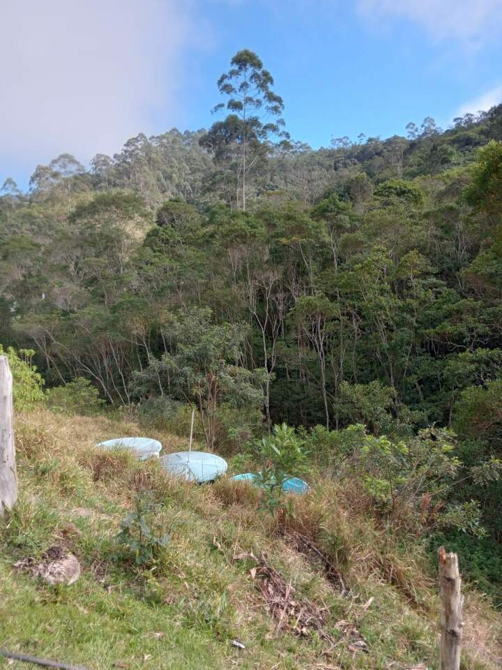 Chácara à venda com 2 quartos, 12000m² - Foto 16