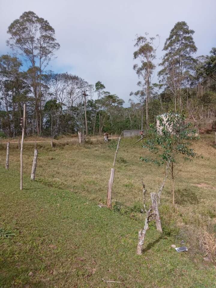 Chácara à venda com 2 quartos, 12000m² - Foto 20