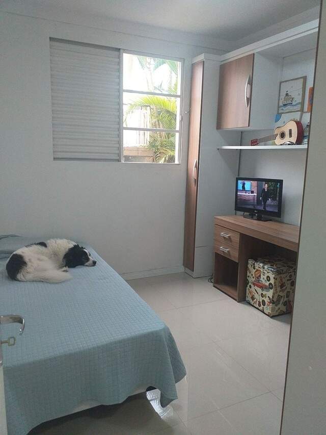 Apartamento à venda com 2 quartos, 55m² - Foto 6