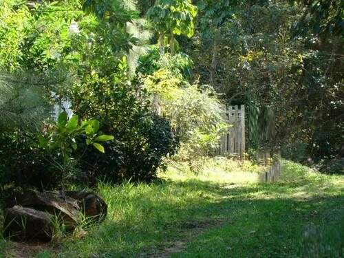 Fazenda à venda com 2 quartos, 100m² - Foto 3