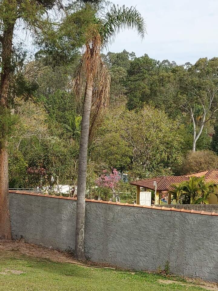 Fazenda à venda com 4 quartos, 3500m² - Foto 17