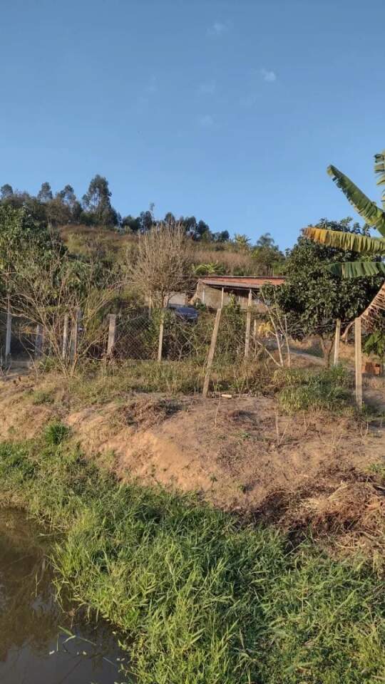 Fazenda à venda com 2 quartos, 8000m² - Foto 4