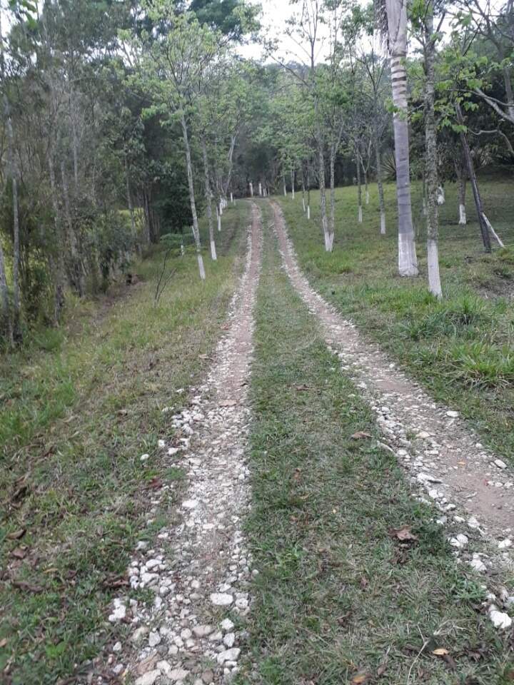 Fazenda à venda com 2 quartos, 4500m² - Foto 5