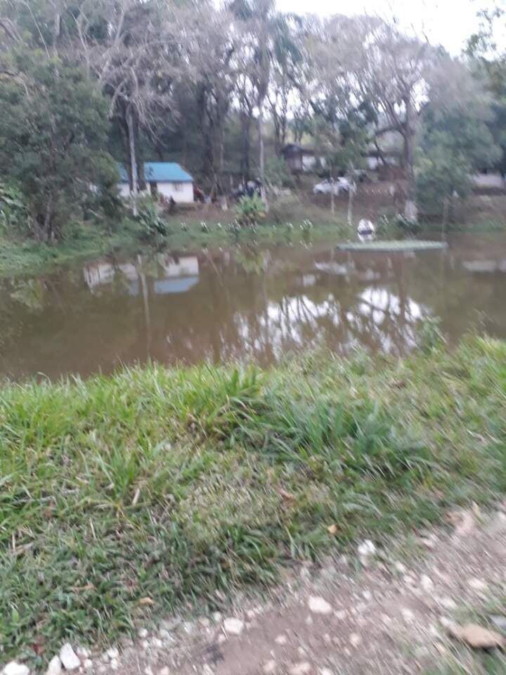 Fazenda à venda com 2 quartos, 4500m² - Foto 6