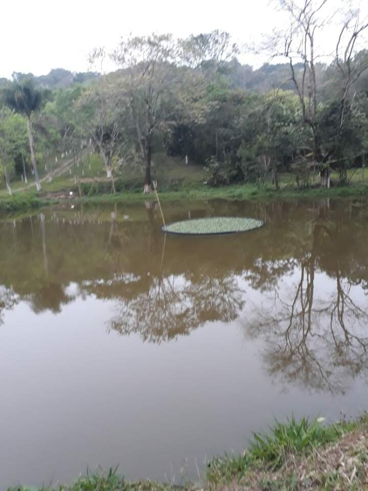 Fazenda à venda com 2 quartos, 4500m² - Foto 8