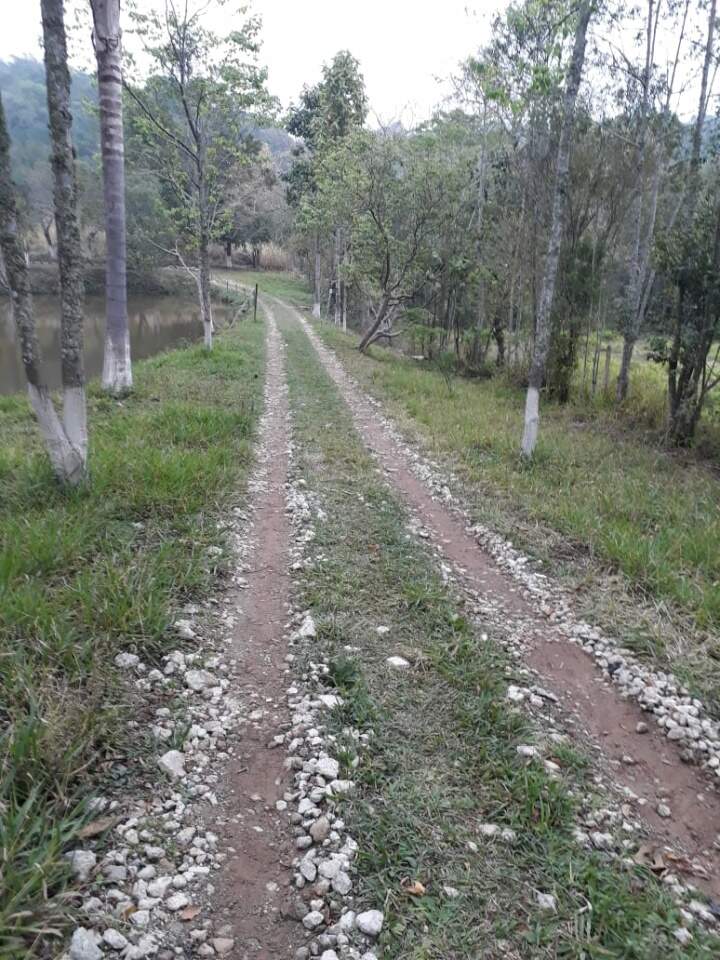 Fazenda à venda com 2 quartos, 4500m² - Foto 9