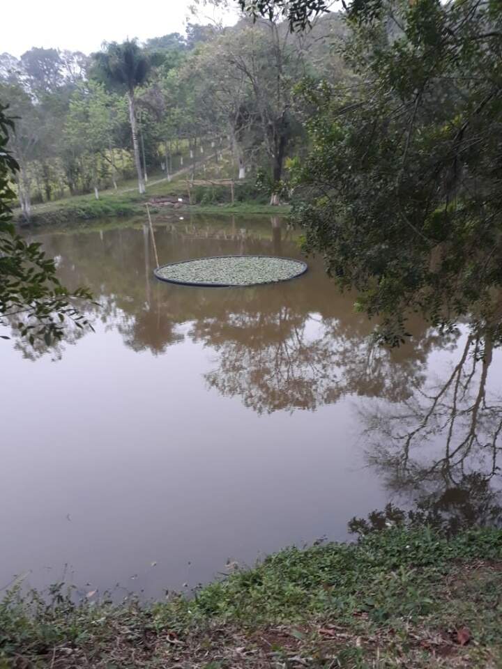 Fazenda à venda com 1 quarto, 121000m² - Foto 8