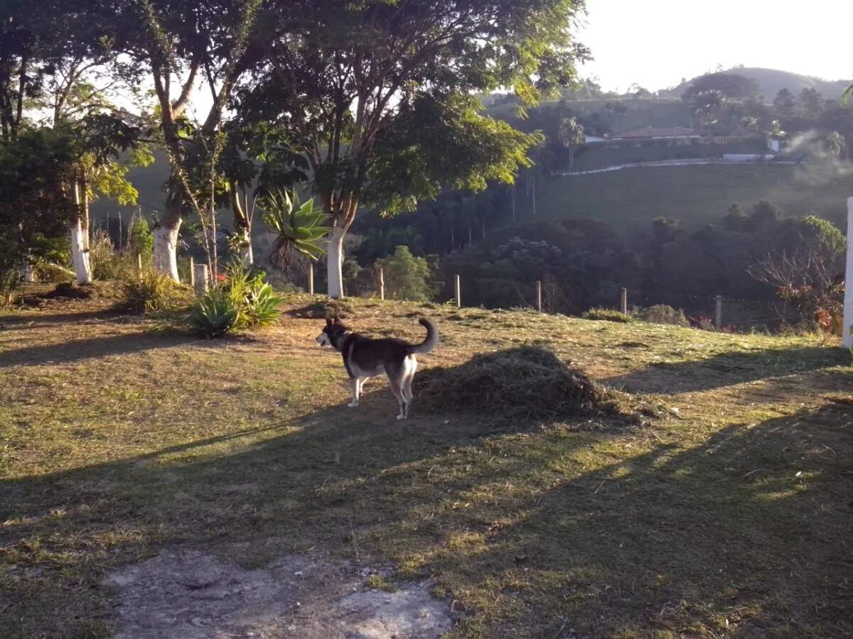 Fazenda à venda com 3 quartos, 130m² - Foto 11