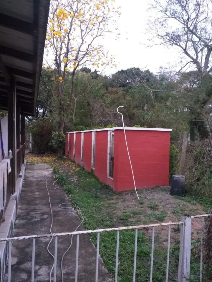 Fazenda à venda com 4 quartos, 130m² - Foto 6