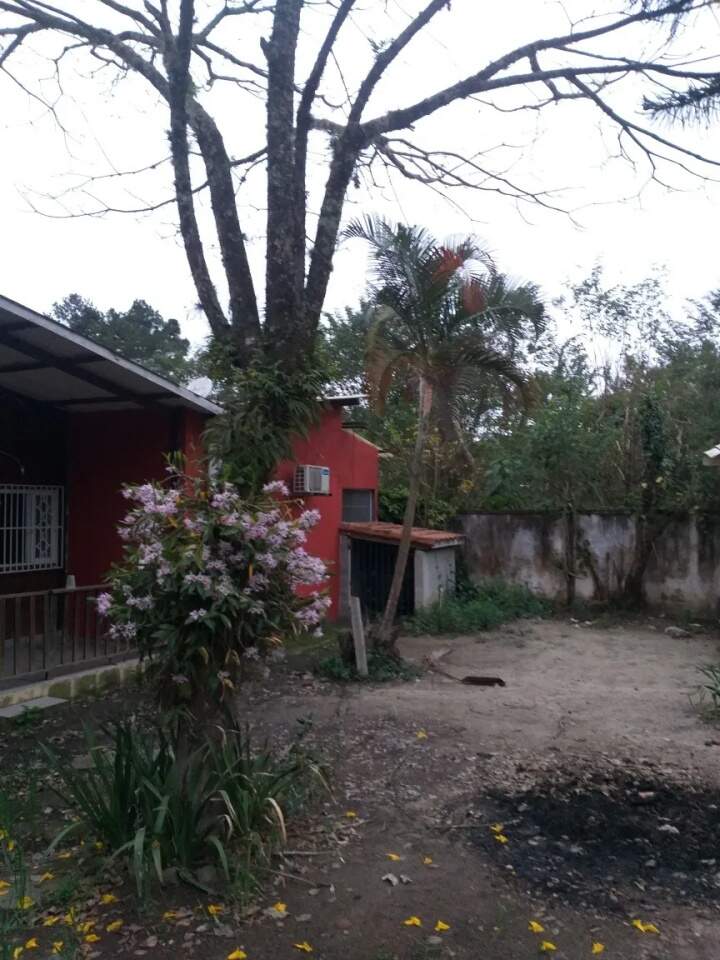 Fazenda à venda com 4 quartos, 130m² - Foto 13