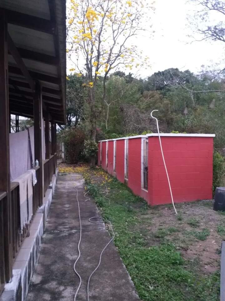 Fazenda à venda com 4 quartos, 130m² - Foto 8