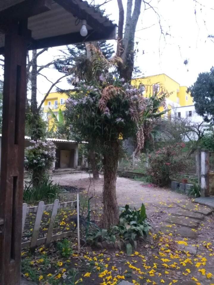 Fazenda à venda com 4 quartos, 130m² - Foto 18