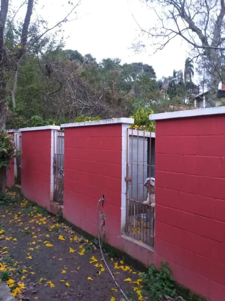 Fazenda à venda com 4 quartos, 130m² - Foto 10